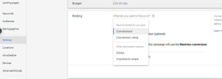 Bidding Strategy Settings Google Ads