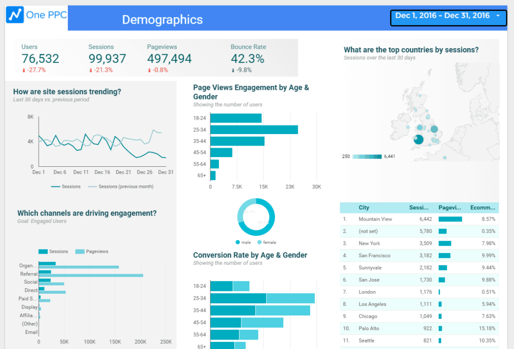 Demographic Stats Google Data Studio 5