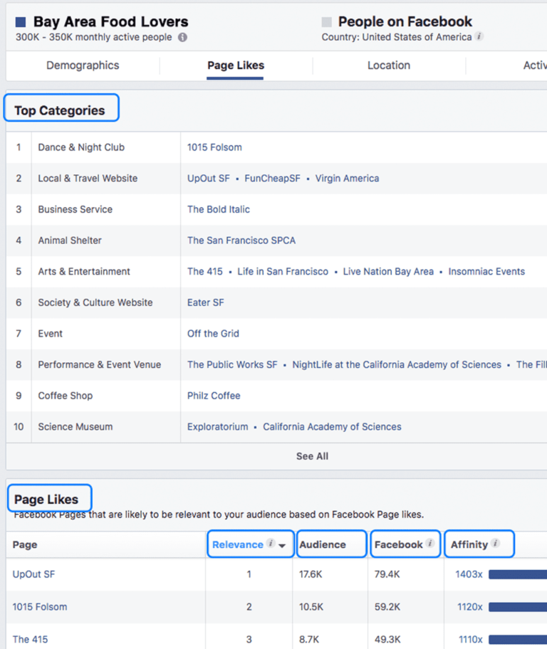 Facebook Audience Insights Page likes Categories